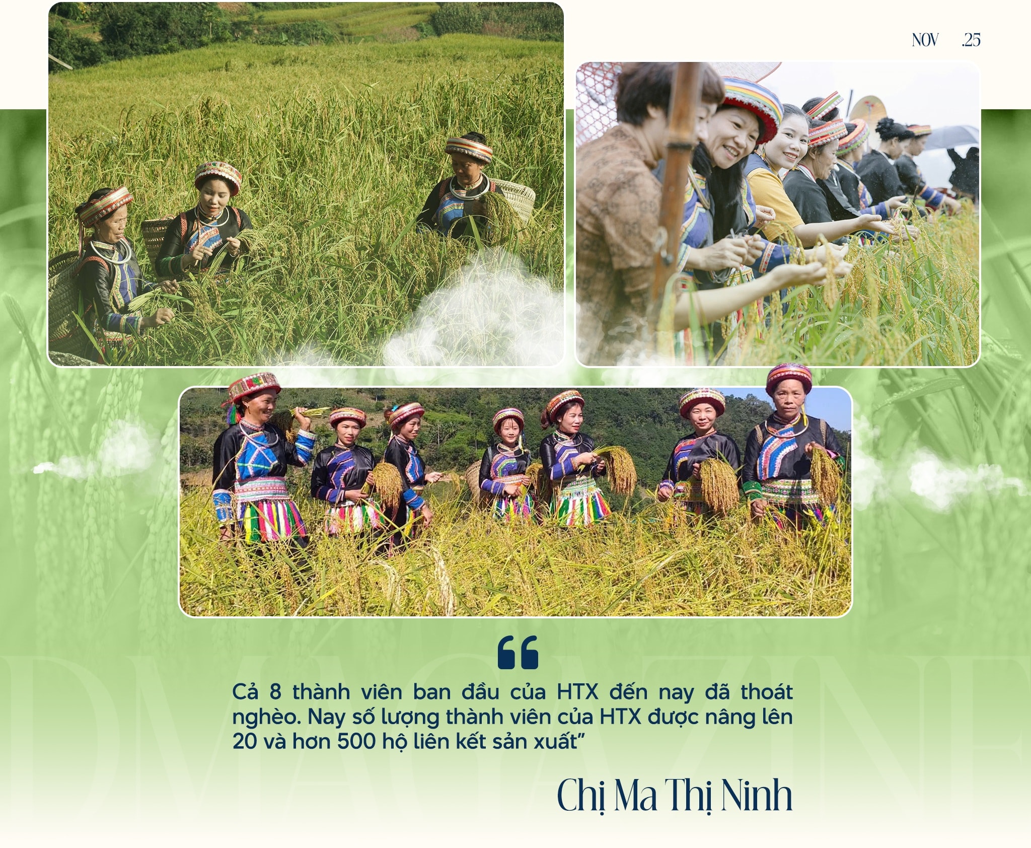 Hợp tác xã - mở lối thoát nghèo cho phụ nữ dân tộc thiểu số - 3 Hợp tác xã - mở lối thoát nghèo cho phụ nữ dân tộc thiểu số - 3