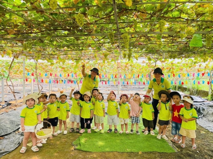 Nhiều trường mầm non tại địa phương tổ chức tham quan, trải nghiệm nông trại. Ảnh: Cả Tổ Farm