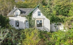 Maroc bị chỉ trích vì giết hàng nghìn con chó vì World Cup - Ảnh 4.