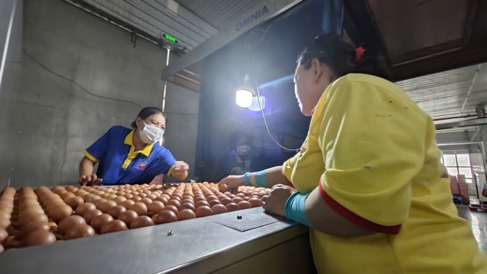 Ba Huân bị nợ thuế hơn 51 tỉ đồng và những thông tin cần biết - Ảnh 1. Ba Huân bị nợ thuế hơn 51 tỉ đồng và những thông tin cần biết - Ảnh 1.