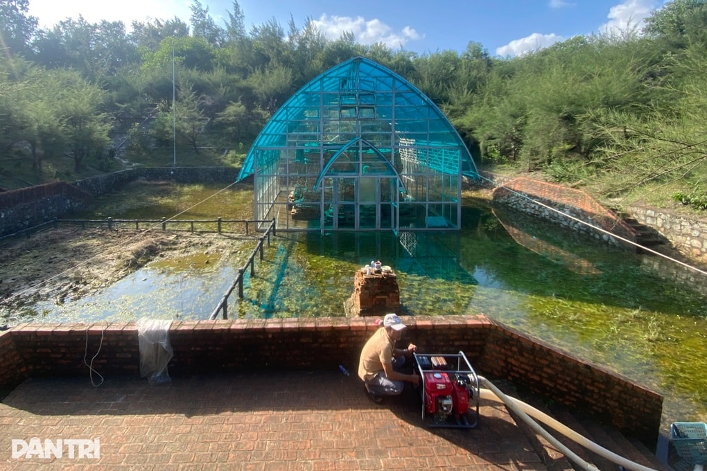 Tháp Chăm nghìn năm tuổi, di tích đặc biệt chưa hết ngập nước - 1