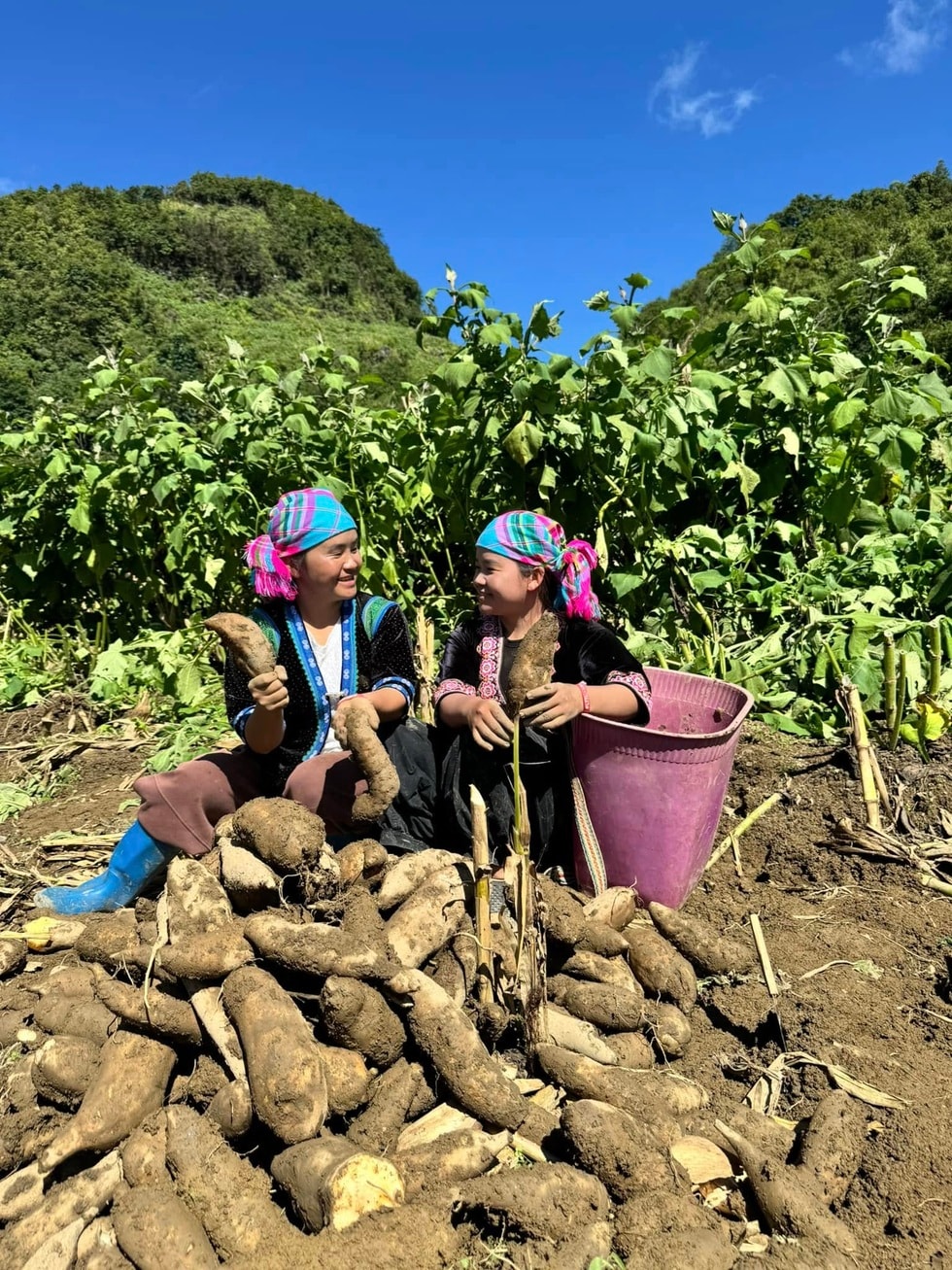 Bài toán “nút thắt cổ chai” khi nông dân chuyển đổi số - 8