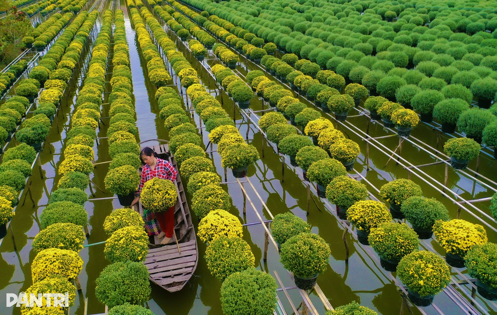 Chuyển tư duy “cho dân làm”, hướng đi mới giúp du lịch nông thôn bền vững - 2