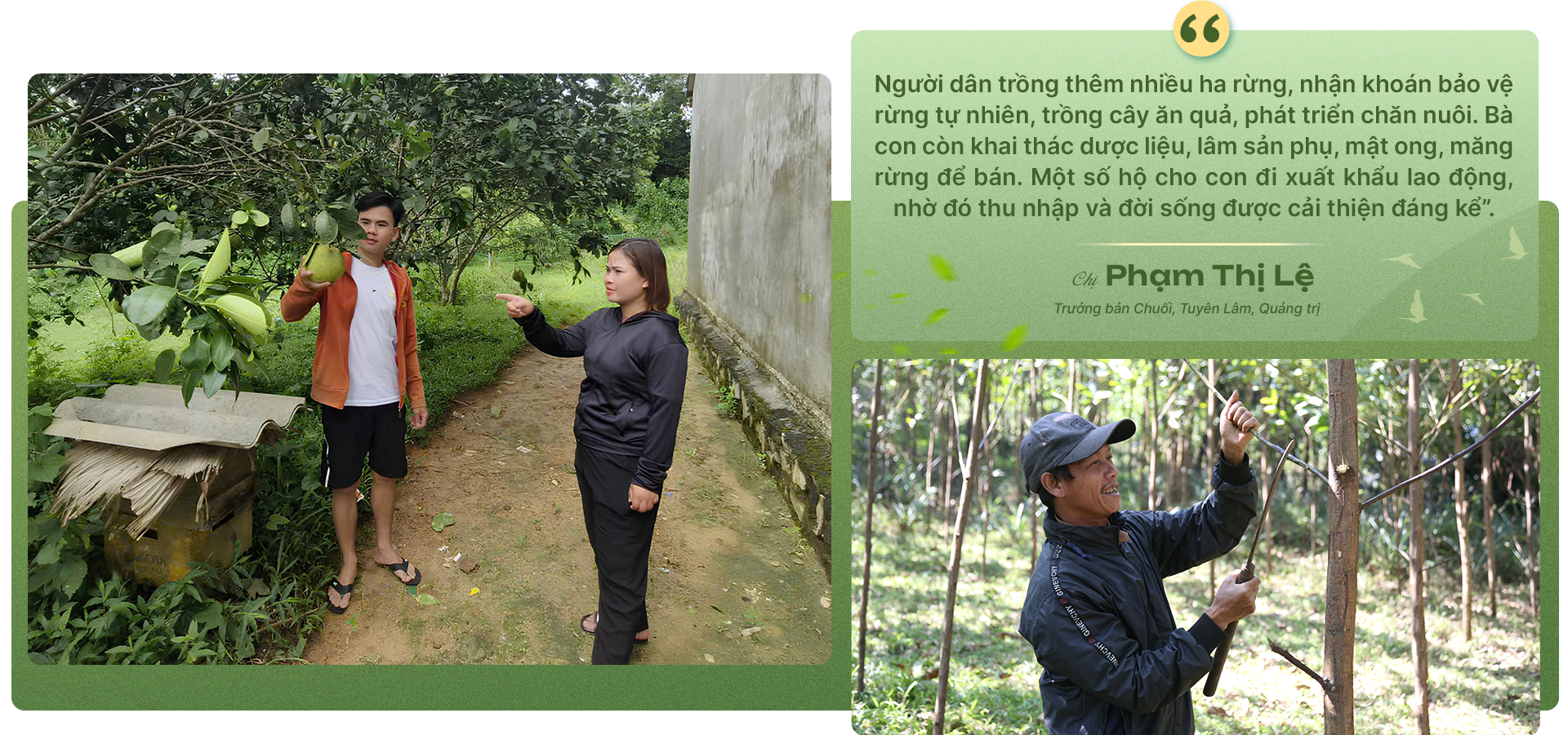 “Thủ lĩnh” thoát nghèo của đồng bào Mã Liềng - 13