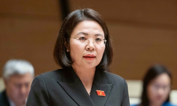 Bà Hoàng Thị Đôi, Phó trưởng đoàn đại biểu phát biểu tại phiên họp chiều 14/11. Ảnh: Media Quốc hội