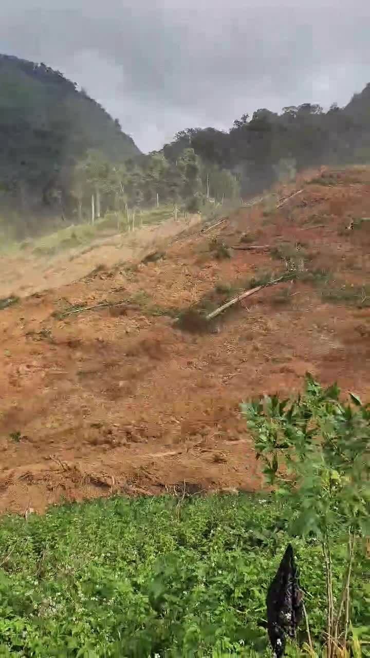 Sạt lở lớn vùi lấp nhiều nhà rẫy, ba người mất liên lạc