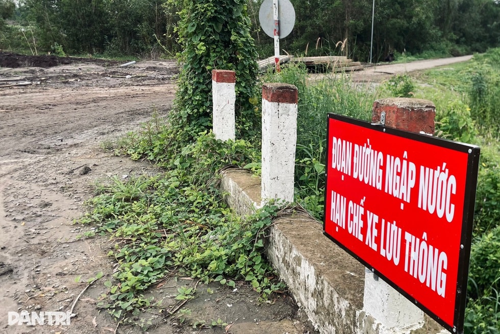 Hành trình thay áo trên đất phù sa sau hơn 2 thập kỷ đói... lũ - 6