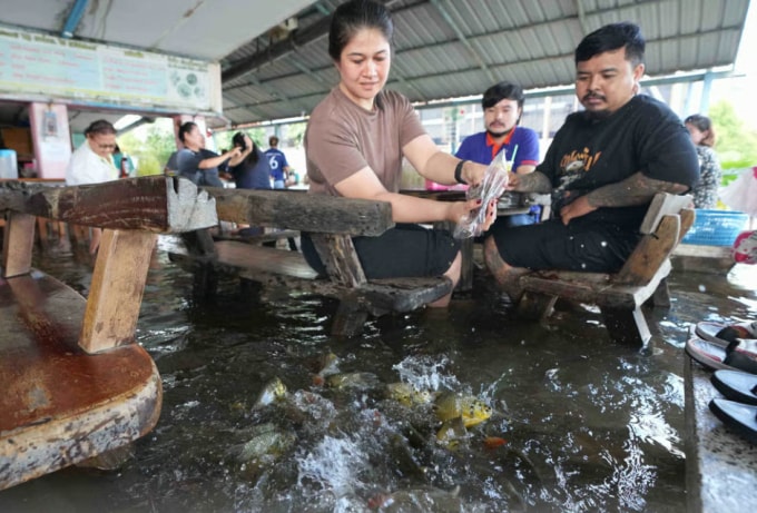 Thực khách cho cá sông ăn tại quán. Ảnh: AP