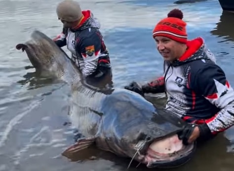 Hai cần thủ Ba Lan bắt được "quái vật", nhưng liệu nó có hợp lệ để phá kỷ lục? - Ảnh 1. Cần thủ câu được cá trê dài gần 3 mét vẫn chưa được công nhận kỷ lục - Ảnh 1.