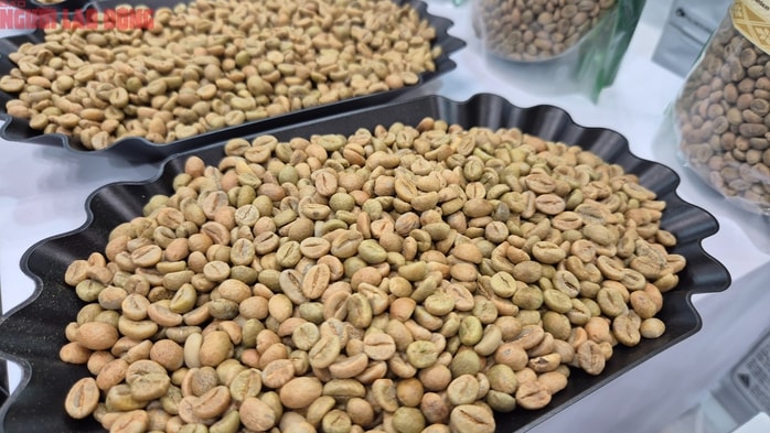 Giá cà phê hôm nay 15 -11: Bốc hơi theo thuế Mỹ - Ảnh 1.