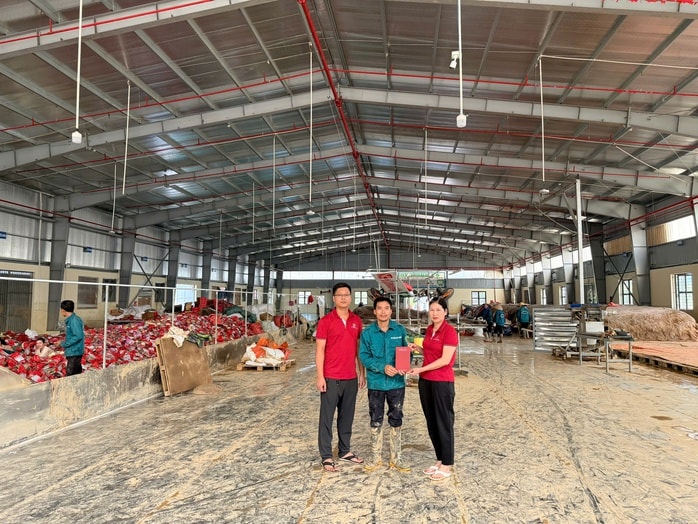 Nhiều ngân hàng giảm lãi suất hỗ trợ khách hàng phục hồi sau bão lũ - Ảnh 2.