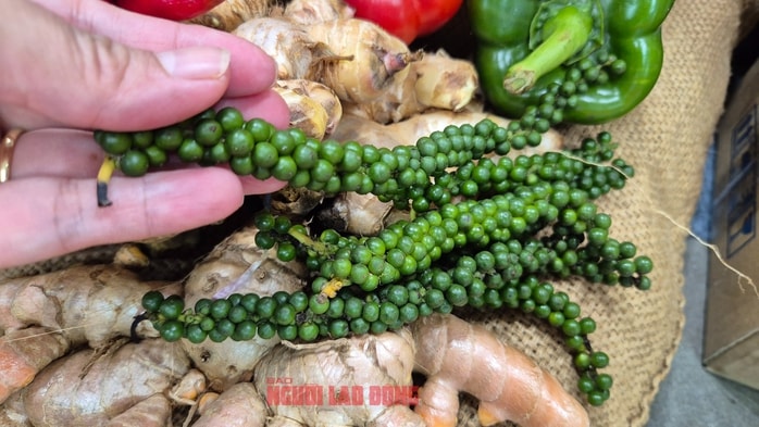 - Ảnh 2. - Ảnh 2.