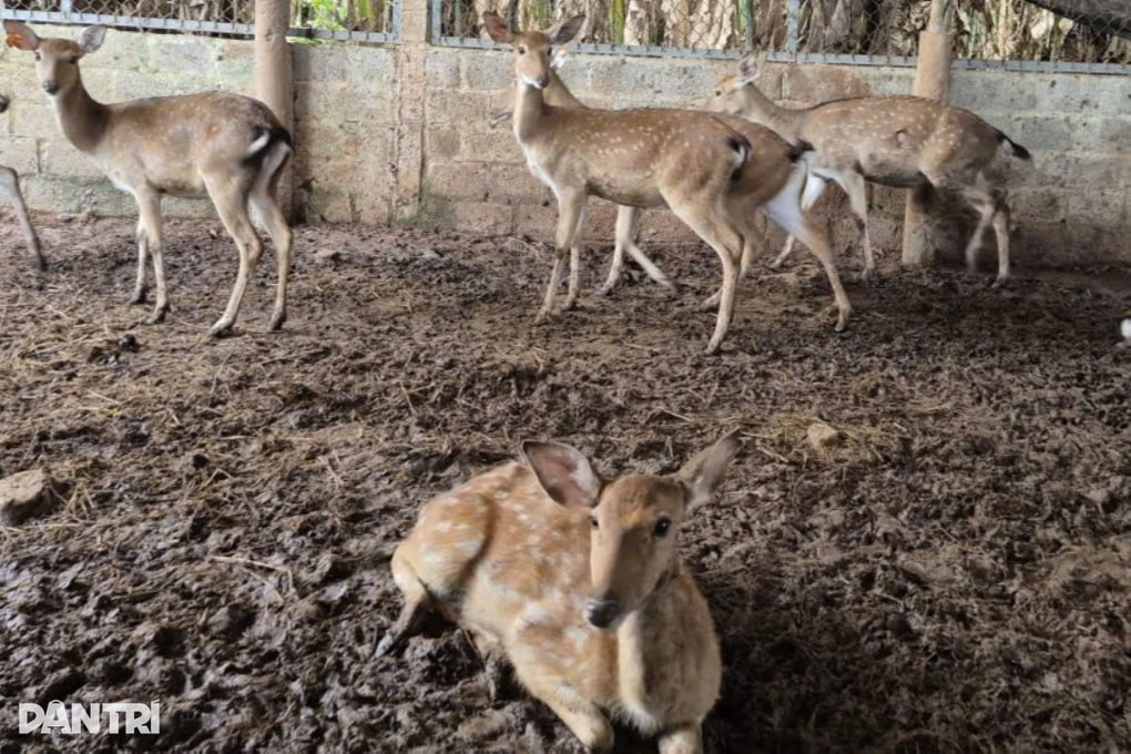 Nữ giáo viên kiếm nửa tỷ đồng mỗi năm từ nghề tay trái - 2 Nữ giáo viên kiếm nửa tỷ đồng mỗi năm từ nghề tay trái - 2