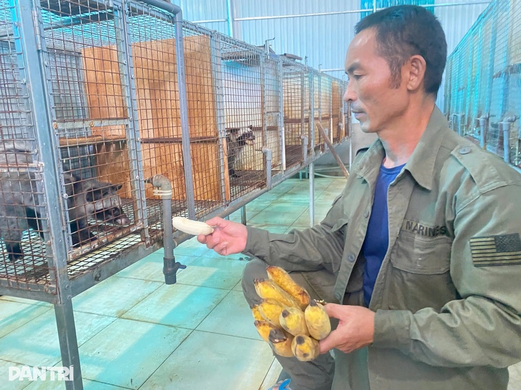 Người đàn ông thành triệu phú nhờ nhân giống loài động vật hoang dã - 2 Người đàn ông thành triệu phú nhờ nhân giống loài động vật hoang dã - 2