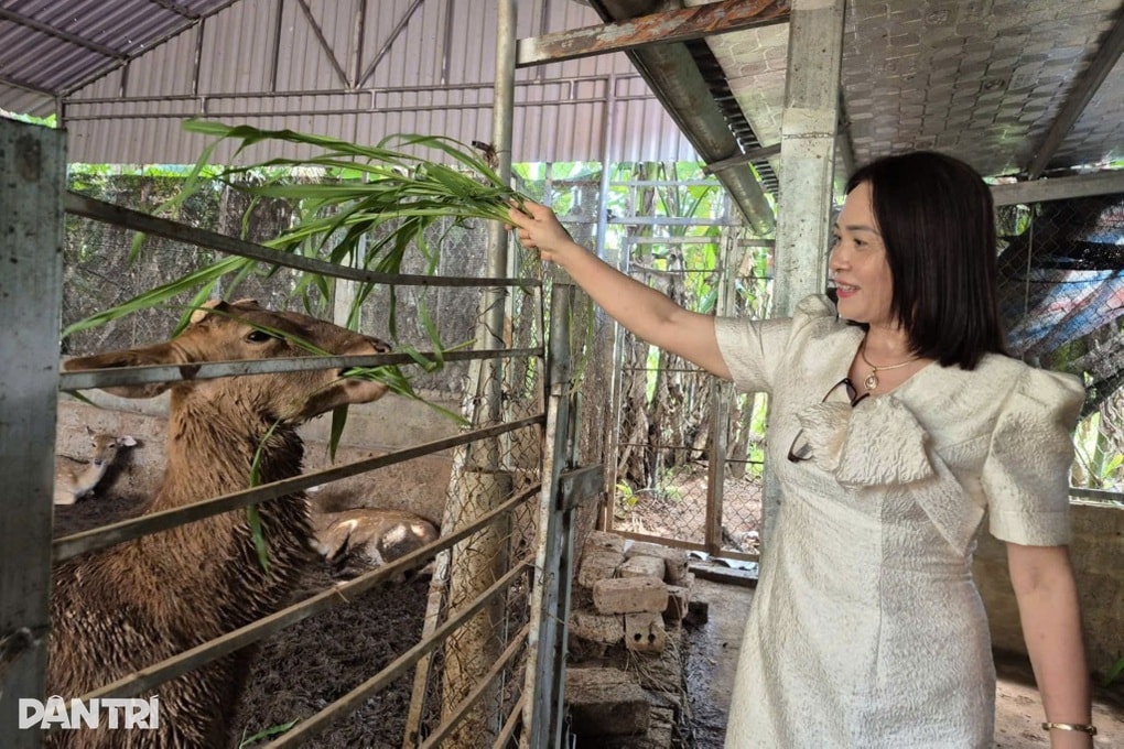 Nữ giáo viên kiếm nửa tỷ đồng mỗi năm từ nghề tay trái - 1 Nữ giáo viên kiếm nửa tỷ đồng mỗi năm từ nghề tay trái - 1