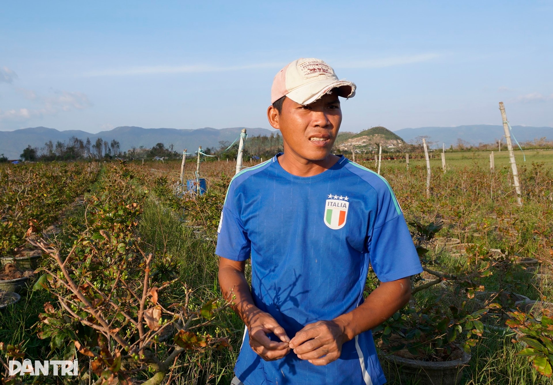 Những ánh mắt buồn ở thủ phủ mai Tết lớn nhất miền Trung sau bão Kalmaegi - 3 Những ánh mắt buồn ở thủ phủ mai Tết lớn nhất miền Trung sau bão Kalmaegi - 3