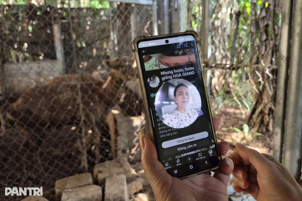 Nữ giáo viên kiếm nửa tỷ đồng mỗi năm từ nghề tay trái - 3 Nữ giáo viên kiếm nửa tỷ đồng mỗi năm từ nghề tay trái - 3