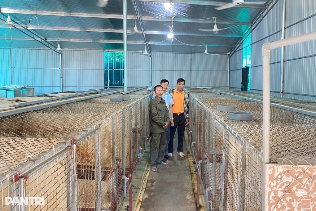 Người đàn ông thành triệu phú nhờ nhân giống loài động vật hoang dã - 3 Người đàn ông thành triệu phú nhờ nhân giống loài động vật hoang dã - 3