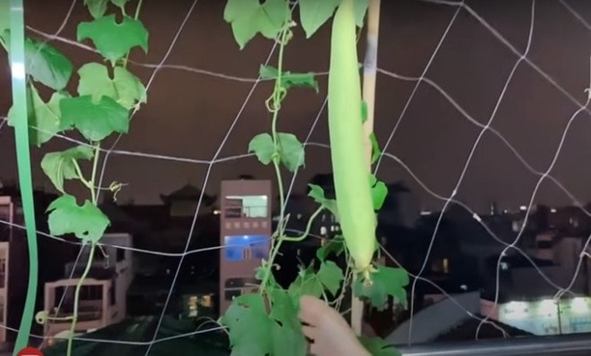 Từng òa khóc khi chia sẻ về biến cố bệnh tật, 'Nữ hoàng dân ca' Việt hiện sống ra sao?- Ảnh 24.