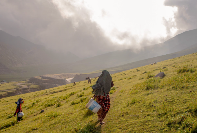 Đoàn du mục chăn gia súc Kashmir gần đèo Pir Panja, Ấn Độ. Ảnh: Guardian