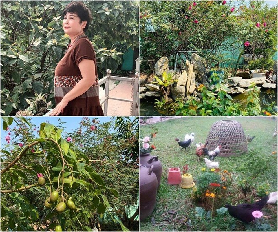 'Táo bà' Minh Hằng tài sắc một thời vạn người mê, khi về hưu sống một mình ở trang trại 20.000m2- Ảnh 7.