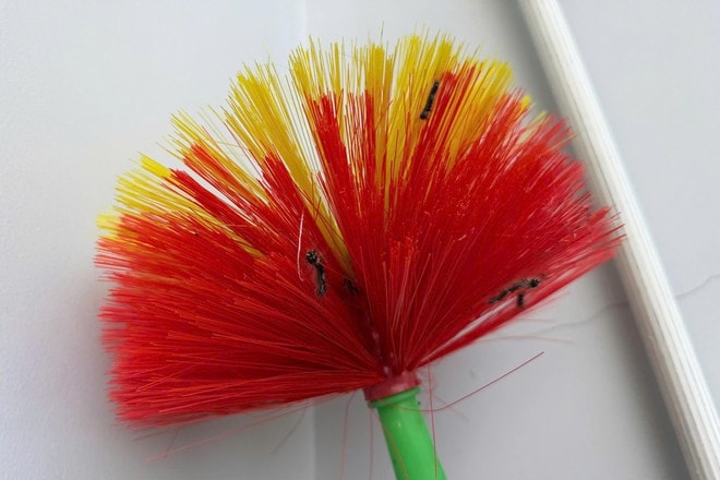 Hãi hùng cảnh tượng hàng nghìn con sâu róm bò vào nhà dân- Ảnh 2. Hãi hùng cảnh tượng hàng nghìn con sâu róm bò vào nhà dân- Ảnh 2.