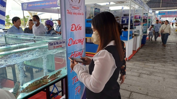 CLIP: Cận cảnh tôm sú "khổng lồ" tại "Ngày hội cua Cà Mau" - Ảnh 9.