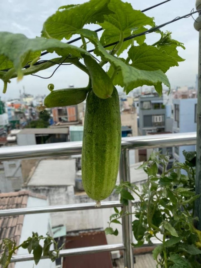 Từng òa khóc khi chia sẻ về biến cố bệnh tật, 'Nữ hoàng dân ca' Việt hiện sống ra sao?- Ảnh 22.