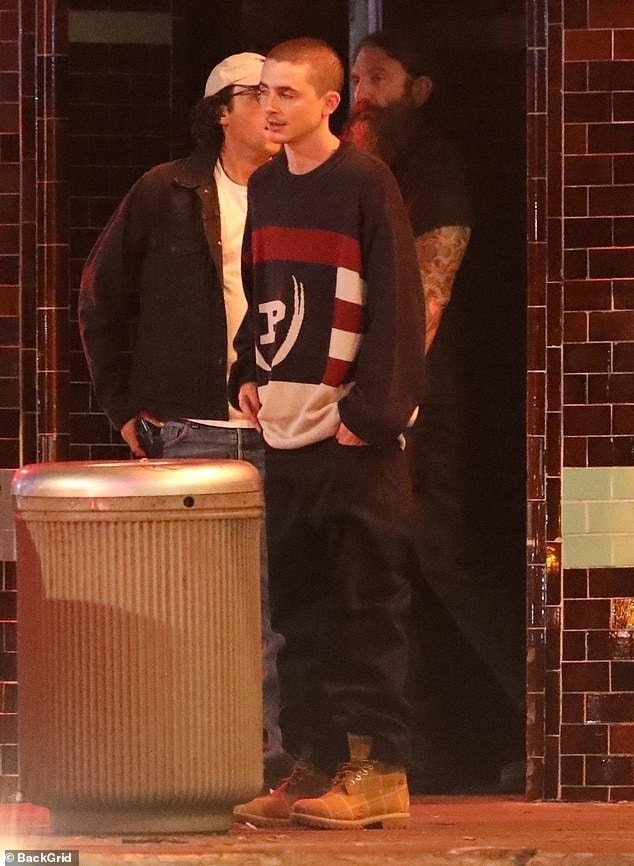 Timothée Chalamet ảnh 1 Timothee Chalamet anh 1