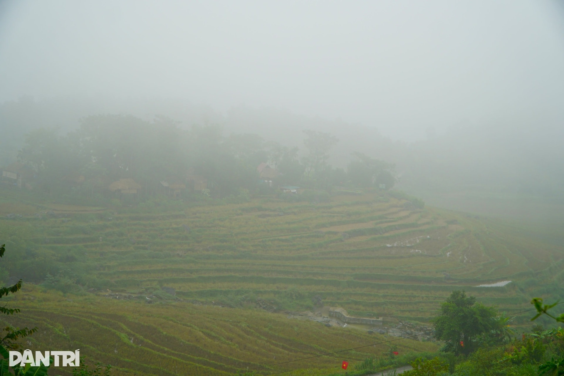 Ngắm bản làng Pù Luông trong làn sương mù mờ ảo - 5