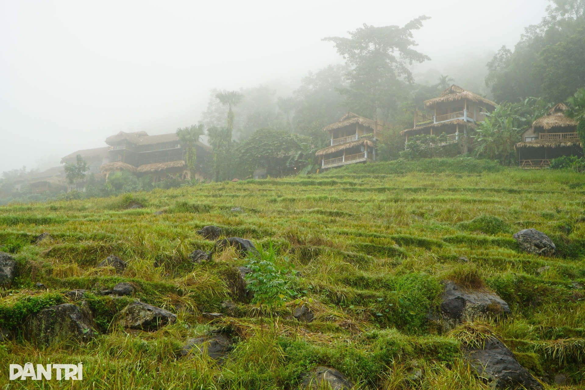 Ngắm bản làng Pù Luông trong làn sương mù mờ ảo - 7