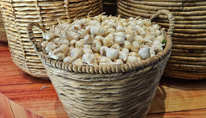 Tỏi chứa nhiều hợp chất chống viêm và chống oxy hóa, có khả năng giảm viêm thận. Ảnh: Thi Hà