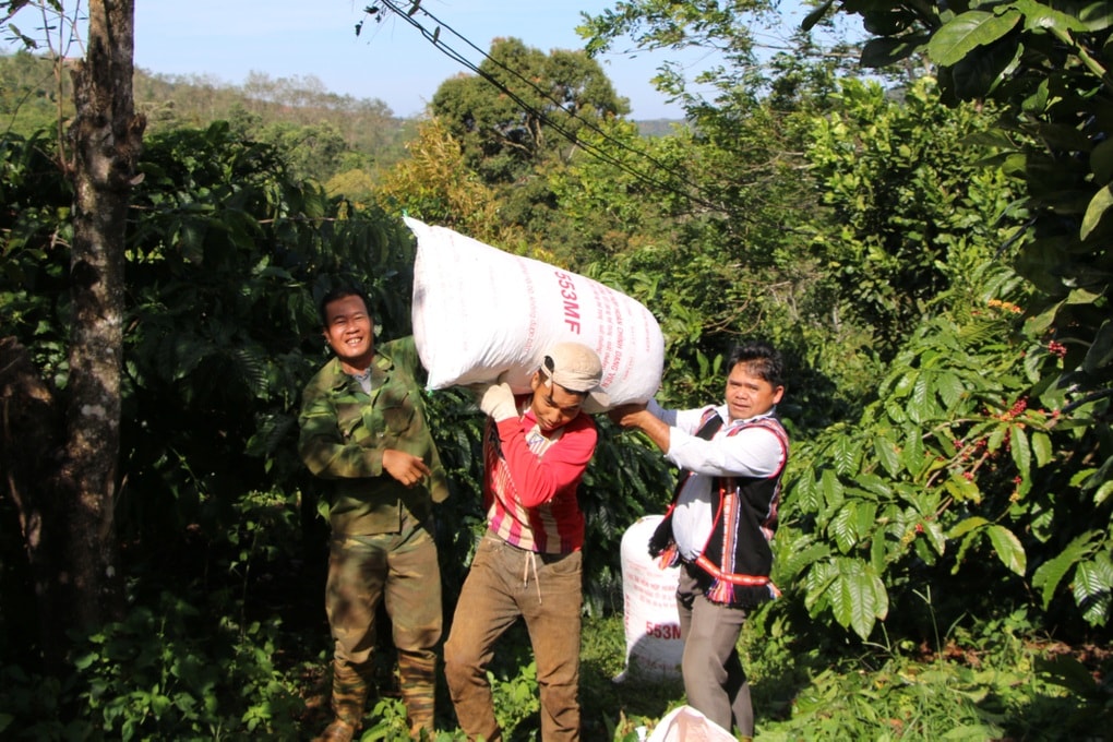 Nâng cao quyền của phụ nữ, trẻ em gái trong chương trình giảm nghèo - 1