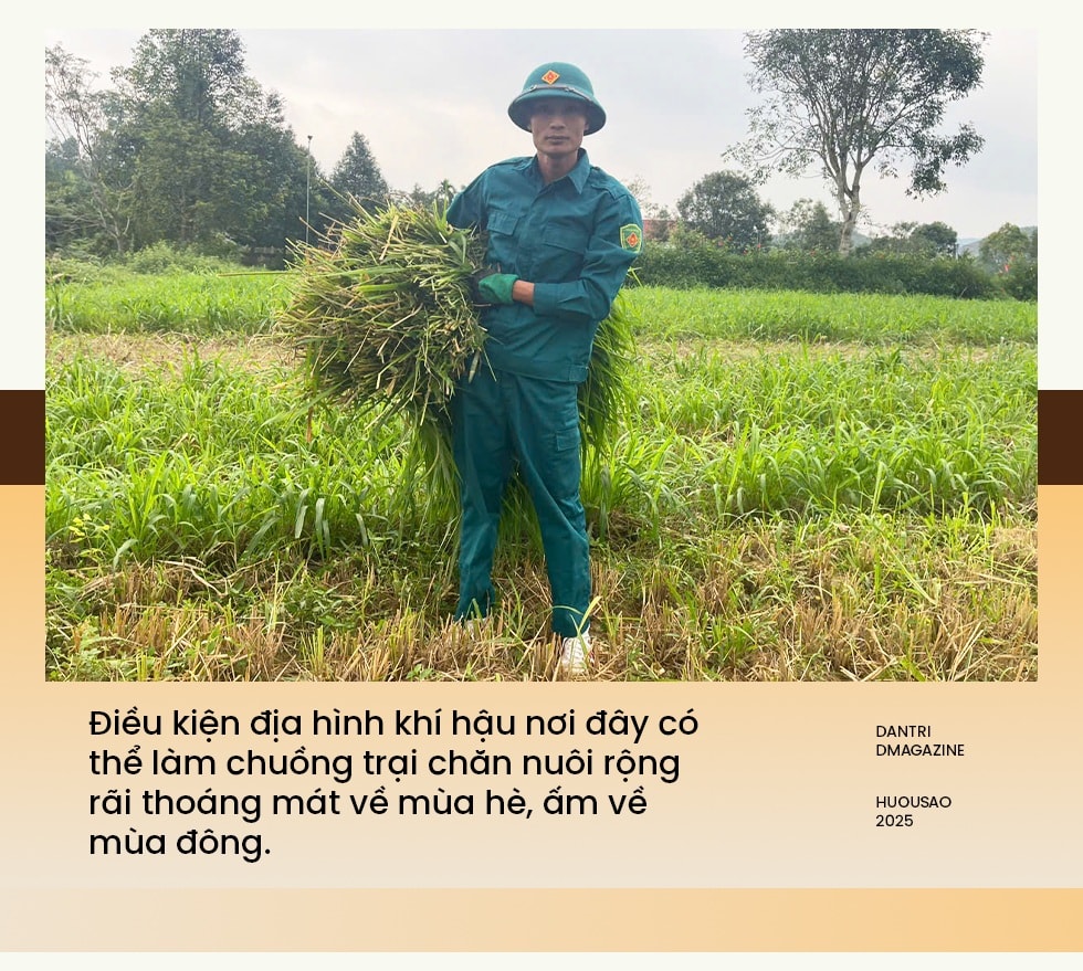 Làm giàu từ mô hình nuôi hươu sao - 5