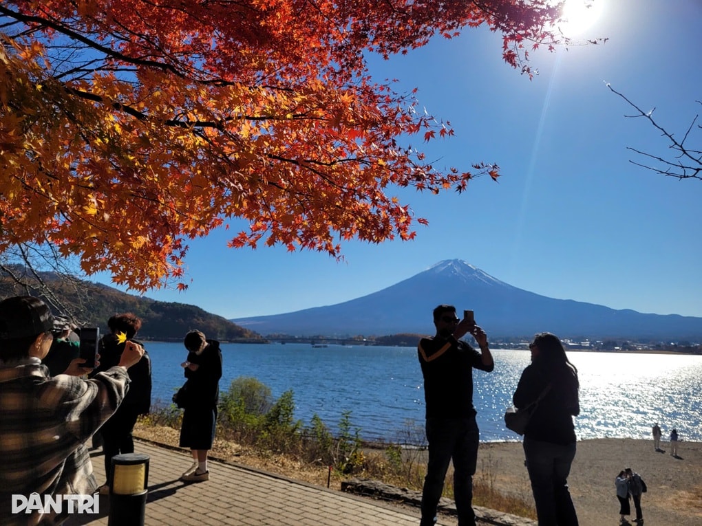 Con đường lá đỏ ở Nhật Bản hút khách săn ảnh núi Phú Sĩ soi bóng - 2 Con đường lá đỏ ở Nhật Bản hút khách săn ảnh núi Phú Sĩ soi bóng - 2