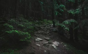 Nữ du khách "sốc nặng" vì phải ngủ chung giường với người đàn ông lạ trên xe giường nằm - Ảnh 5.