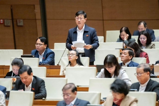 ĐBQH đề nghị cấm tuyệt đối hành vi ép mua bảo hiểm khi vay vốn ngân hàng - Ảnh 2.