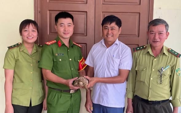 Trăn nặng 12 kg và rùa qúy hiếm được thả về tự nhiên ở Đà Nẵng - Ảnh 3.