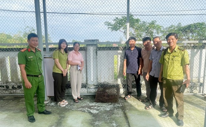 Trăn nặng 12 kg và rùa qúy hiếm được thả về tự nhiên ở Đà Nẵng - Ảnh 1.