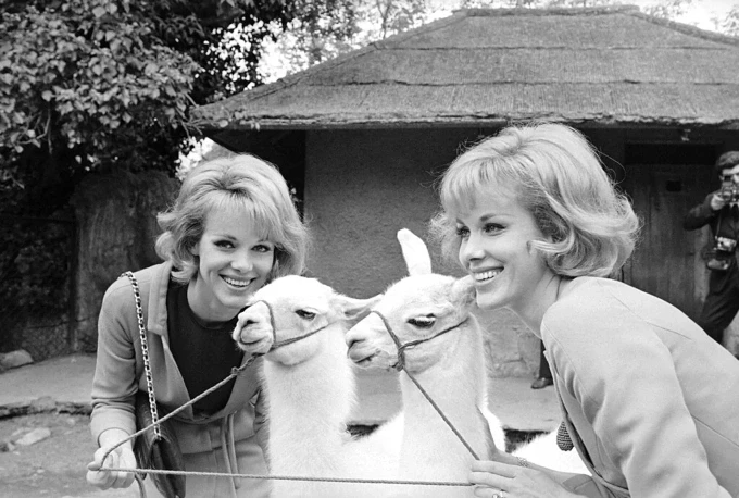 Cuộc đời cặp song sinh huyền thoại chọn ra đi cùng nhau ở tuổi 89 - 1