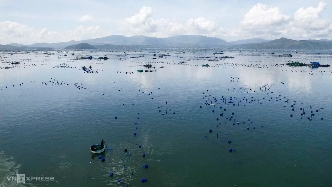 Khu vực nuôi tôm hùm, bè thủy sản trên vịnh Xuân Đài sau bão Kalmaegi. Ảnh: Đình Văn