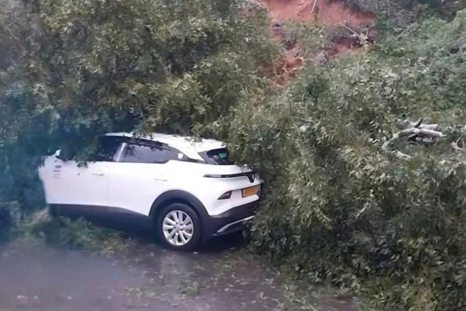 Ôtô bị cây trên đèo Mimosa đổ trúng. Ảnh: Khánh Hương
