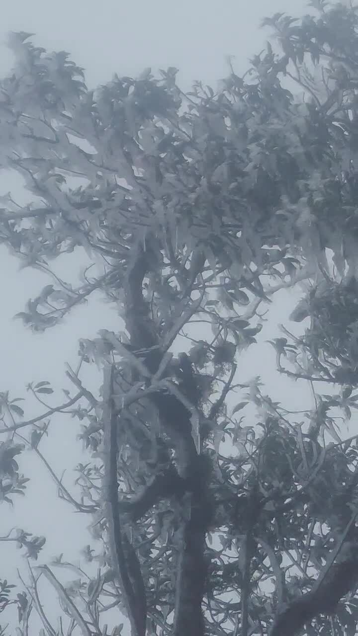 Băng tuyết xuất hiện trên đỉnh Tà Xùa