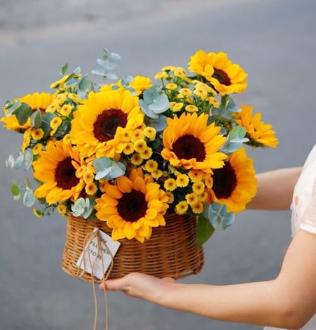 Những loài hoa ý nghĩa tặng thầy cô ngày Nhà giáo Việt Nam 20/11- Ảnh 1.