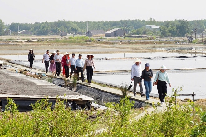 - Ảnh 5. - Ảnh 5.