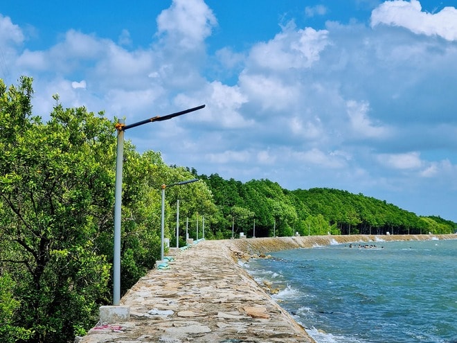 - Ảnh 10. - Ảnh 10.