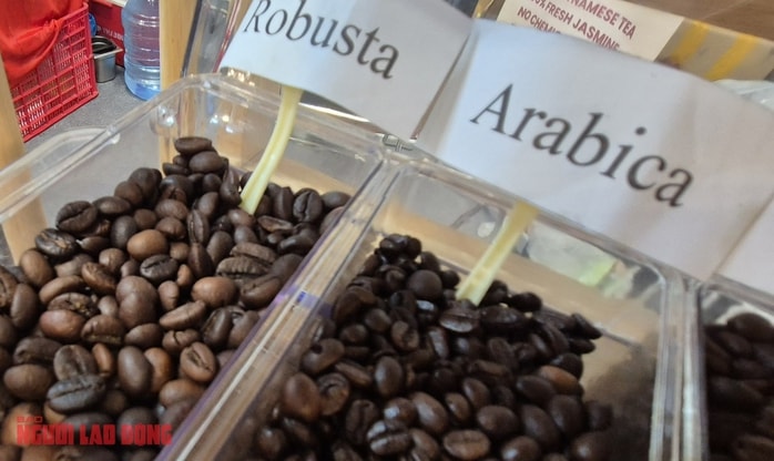 Giá cà phê hôm nay 19 - 11 tiếp tục tăng cao , Arabica gây sốt toàn cầu - Ảnh 1.