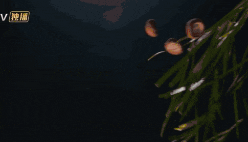 Hoan Chau cach cach anh 4