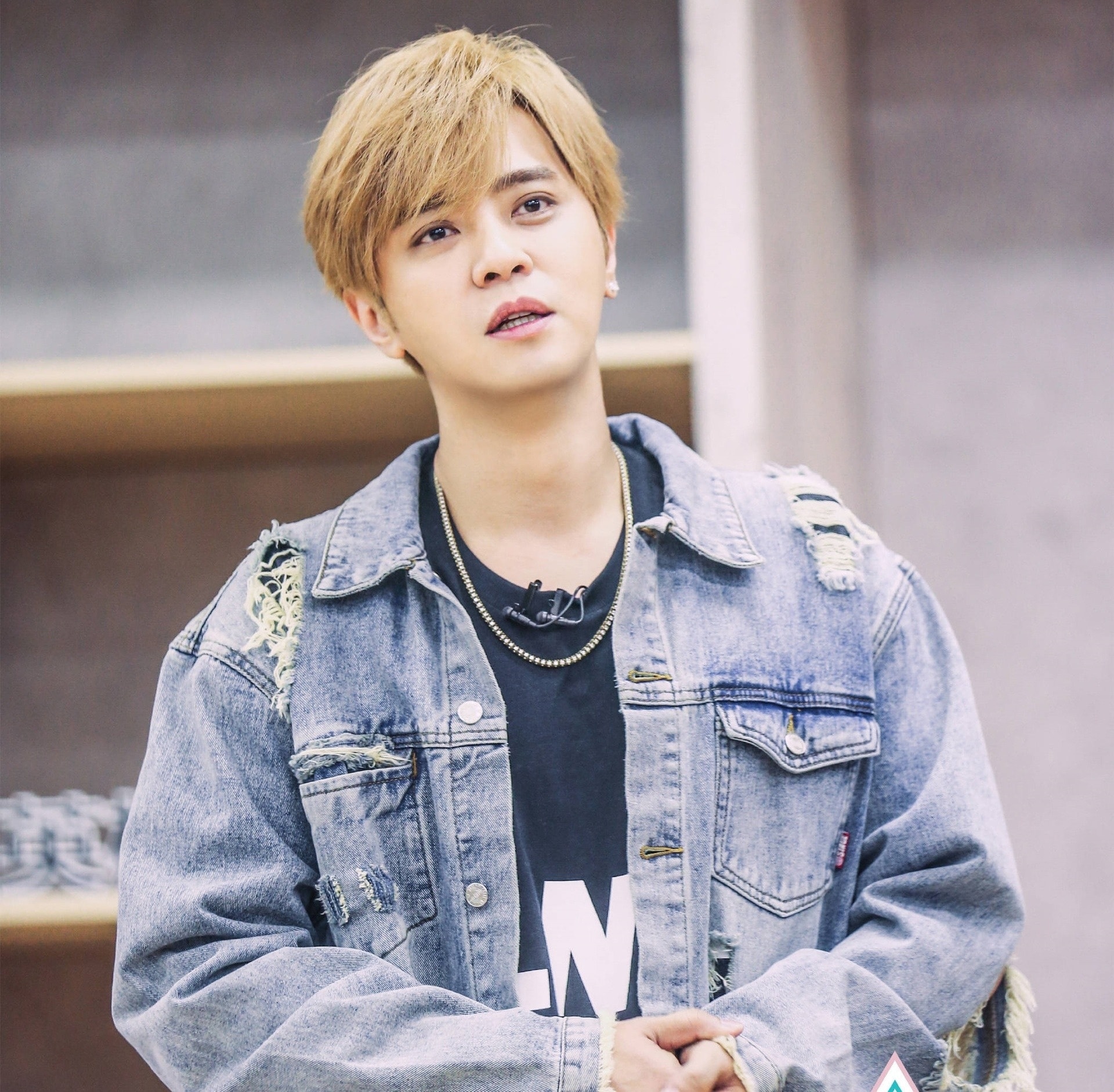 la chí tường ảnh 1 la chi tuong anh 1