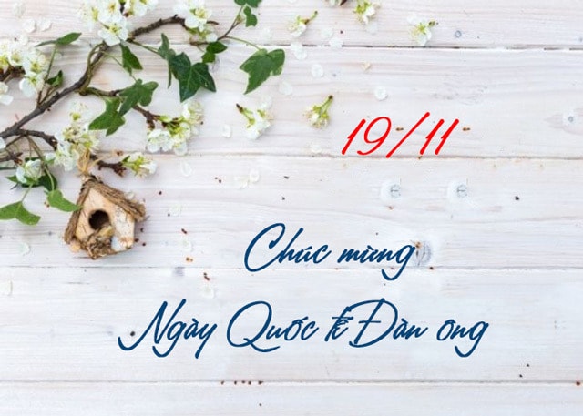 Những mẫu thiệp chúc mừng ngày Quốc tế Đàn ông 19/11 đẹp nhất 2025- Ảnh 3.